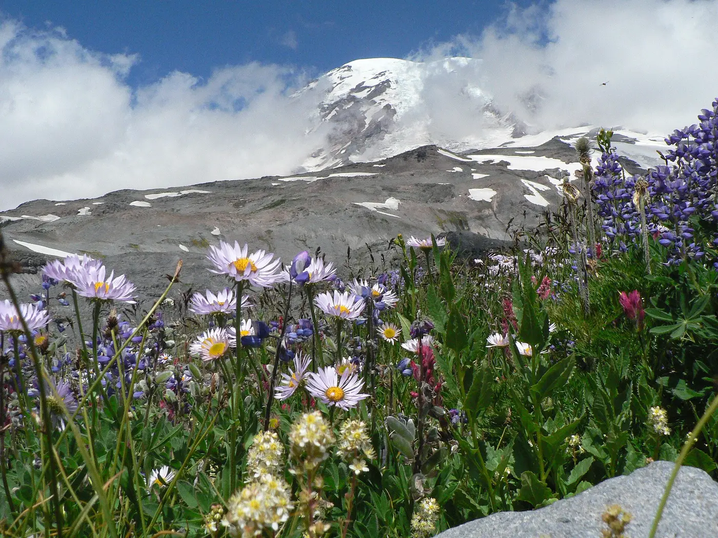 Mount Rainier