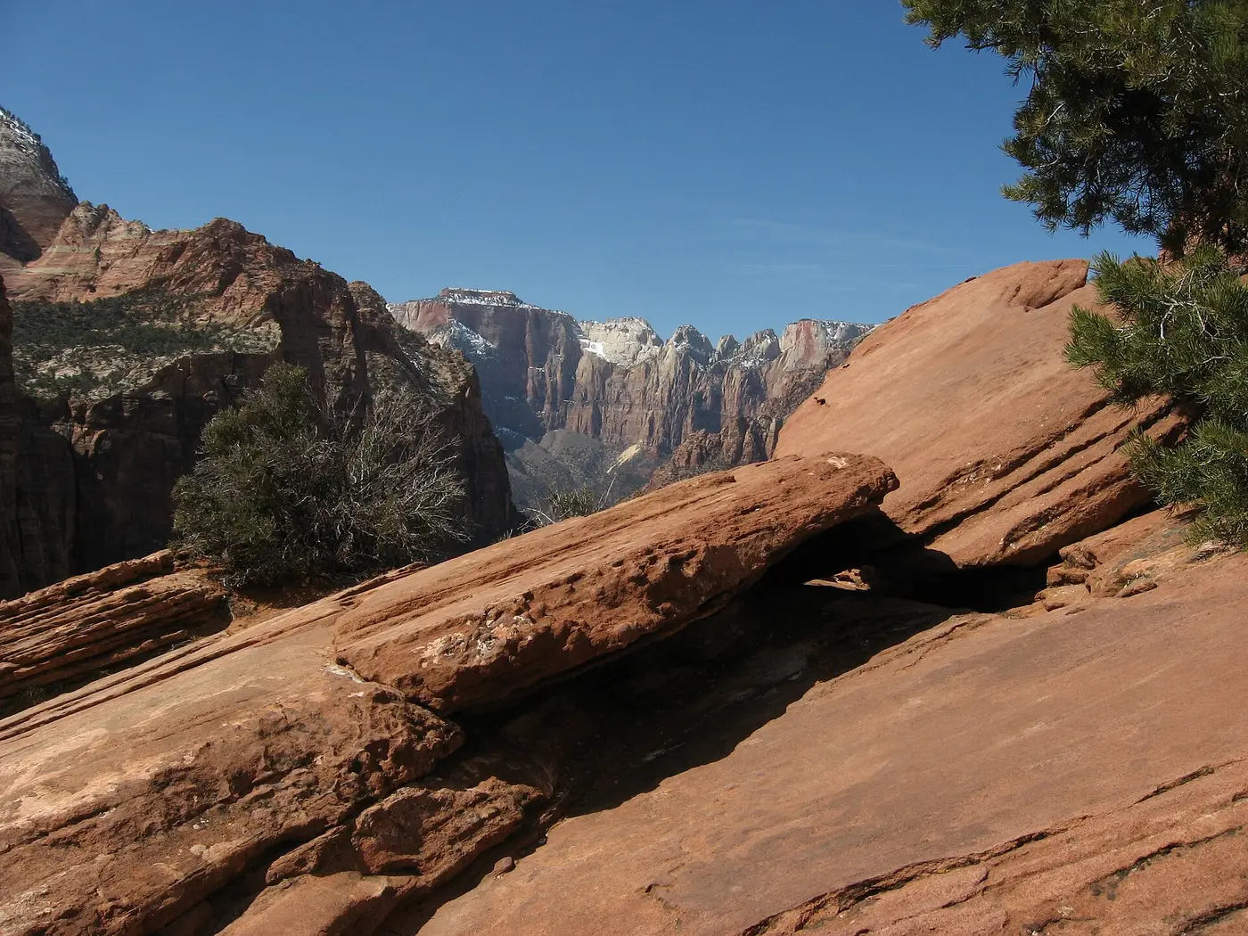 Canyon Overlook in Zion National Park